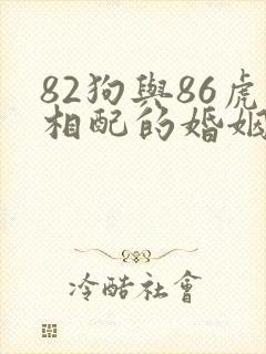 82狗与86虎相配的婚姻如何
