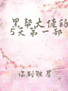 黑帮大佬的365天第一部