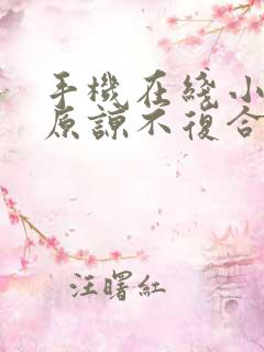 手机在线小说不原谅不复合苏小姐独美