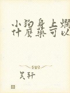 小狗身上烂洞用什么药可以