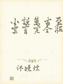 小说万古至尊李云霄完全版