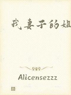 我妻子的姐姐韩