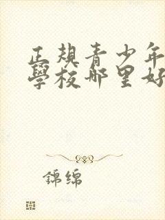 正规青少年叛逆学校哪里好