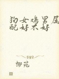 狗女鸡男属相婚配好不好