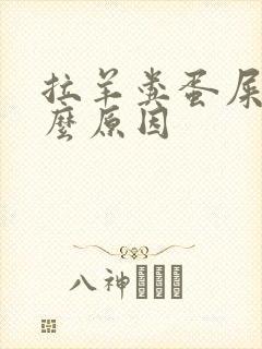 拉羊粪蛋屎是什么原因