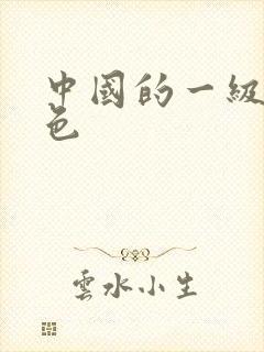 中国的一级片黄色