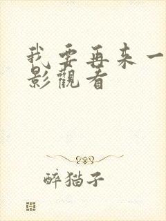 我要再来一次电影观看