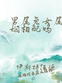 男属兔女属蛇婚姻相配吗