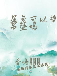 属兔可以带龙牌吊坠吗