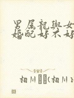 男属龙与女属马婚配好不好