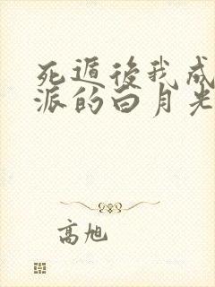 死遁后我成了反派的白月光