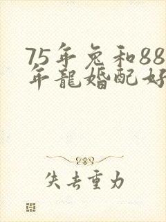 75年兔和88年龙婚配好吗?