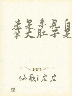 老是梦见自己怀孕大肚子是啥预兆