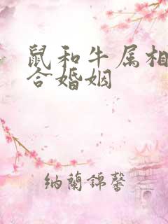 鼠和牛属相合不合婚姻