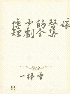 傅少的替嫁新娘短剧全集