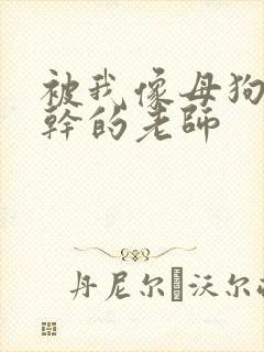 被我像母狗一样干的老师