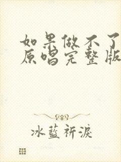 如果做不了夫妻原唱完整版dj