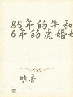85年的牛和86年的虎婚姻怎样