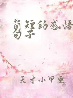 简短的感悟人生句子