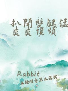 扒开双腿猛插入爽爽视频