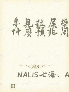 梦见拉屎带血是什么预兆周公解梦