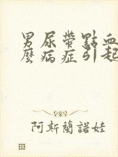 男尿带点血是什么病症引起的