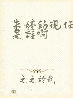 朱婷的现任丈夫是谁啊