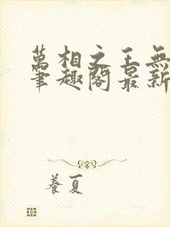 万相之王无弹窗笔趣阁最新