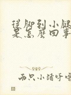 从脚到小腿浮肿是怎么回事