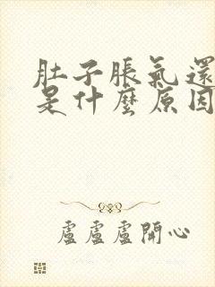 肚子胀气还放屁是什么原因