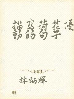 描写荷花优美生动的句子