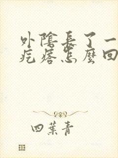 外阴长了一个肉疙瘩怎么回事