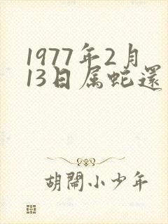 1977年2月13日属蛇还是属龙