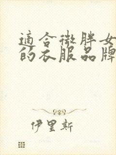 适合微胖女生穿的衣服品牌