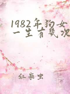1982年狗女一生有几次婚姻