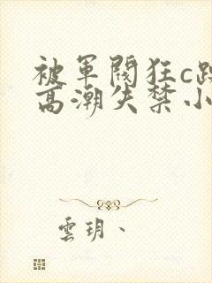 被军阀狂c躁到高潮失禁小说