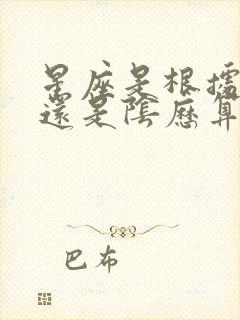 星座是根据阳历还是阴历算的