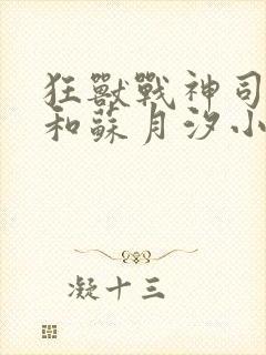 狂兽战神司空靖和苏月汐小说