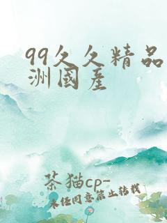 99久久精品亚洲国产
