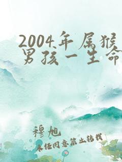 2004年属猴男孩一生命运如何