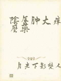 阴唇肿大痒用什么药