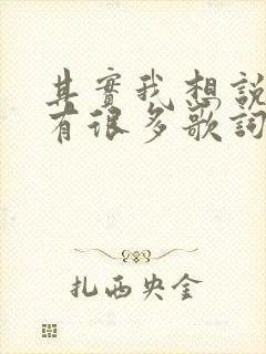 其实我想说的还有很多歌词