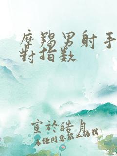 摩羯男射手女配对指数