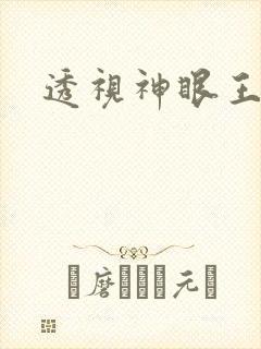 透视神眼王峰