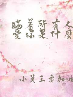 瞒着所有人继续爱你是什么歌