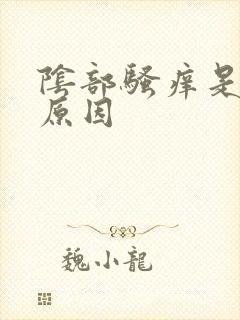 阴部骚痒是怎么原因