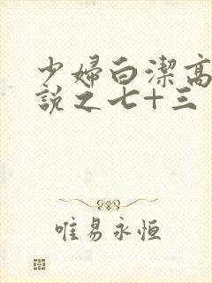 少妇白洁高义小说之七+三