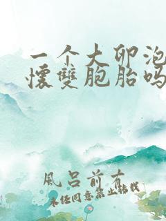 一个大卵泡可以怀双胞胎吗