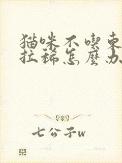 猫咪不吃东西还拉稀怎么办