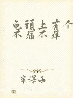 龟头上有个肉粒不痛不痒